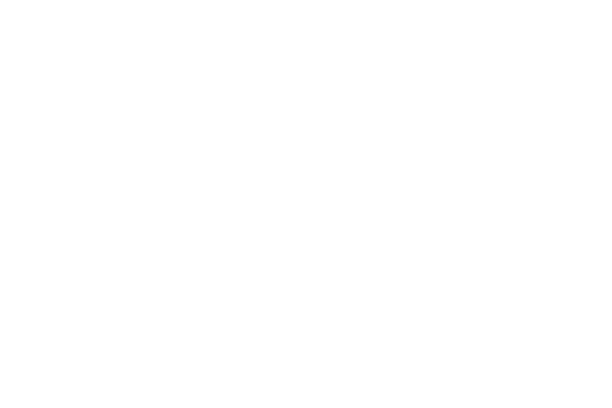 Image for Big Seaweed Search