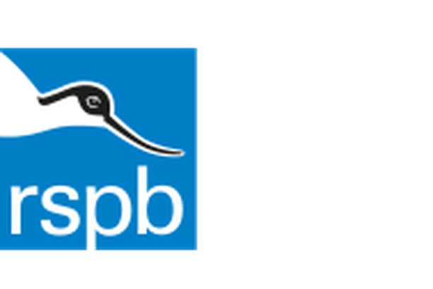 Image for Big Garden Birdwatch