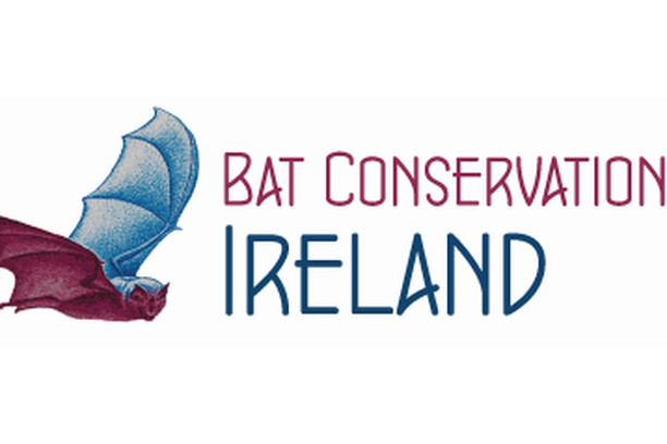 Image for Car-based Bat Monitoring