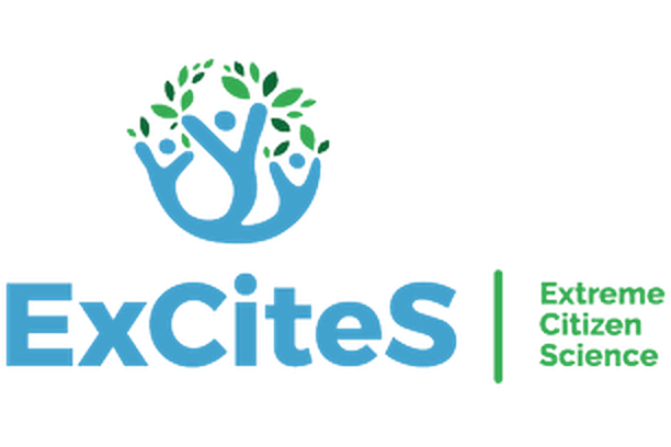 Image for ECSAnVis