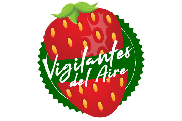Image for Vigilantes del aire
