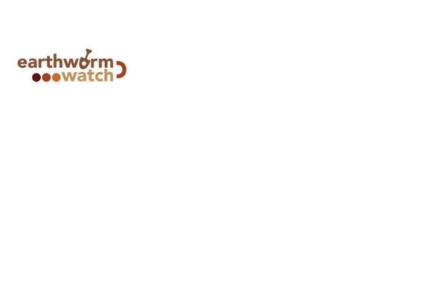 Image for Earthworm Watch