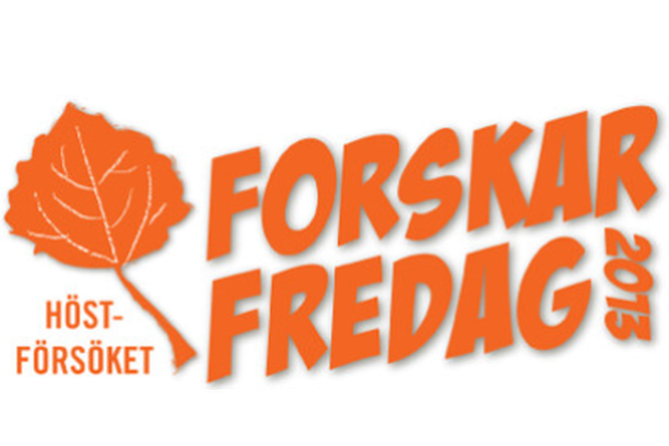 Image for The Autumn Experiment – Höstförsöket