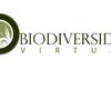 Project icon