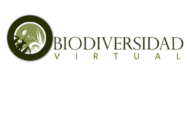Image for Biodiversidad Virtual