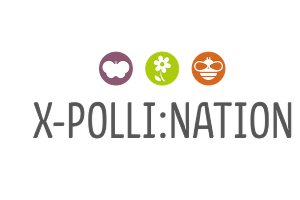 Image for X-Polli:nation