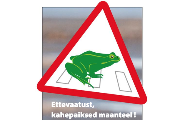 Image for Frogs on the road