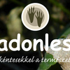 Project icon