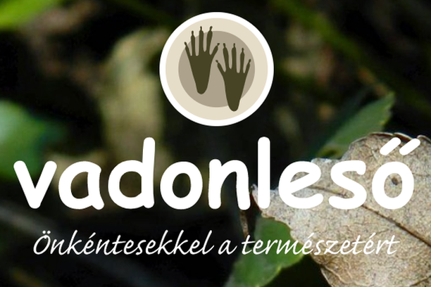 Image for Vadonleső (The WildWatcher)