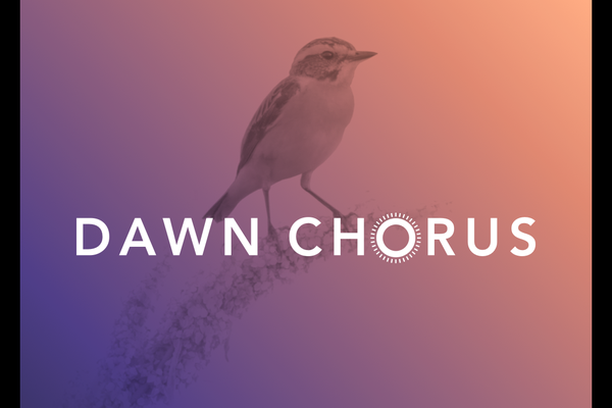 Image for Dawn Chorus - Stop and listen!