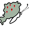 Project icon