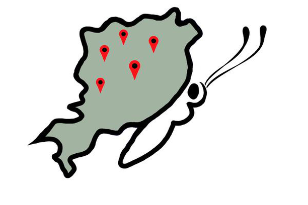 Image for Butterfly-net (Lepke-háló)