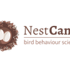 Project icon