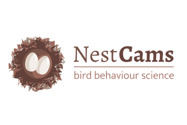 Image for NestCams: Watch birds on their nests and help us find out more about their breeding behaviour!