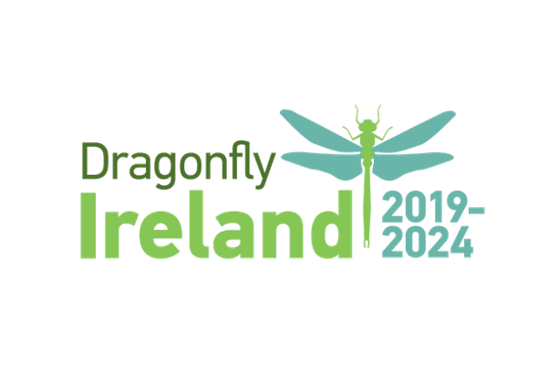 Image for Dragonfly Ireland 2019 - 2024