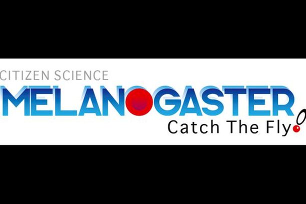 Image for Melanogaster: Catch the Fly!