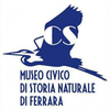Project icon