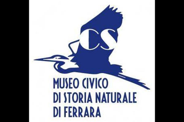 Image for Raccolte del Museo Civico di Storia Naturale di Ferrara