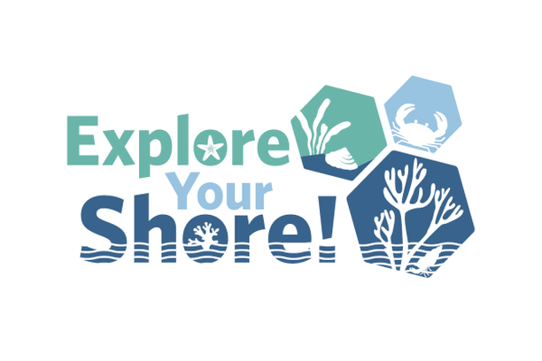 Image for Explore Your Shore!