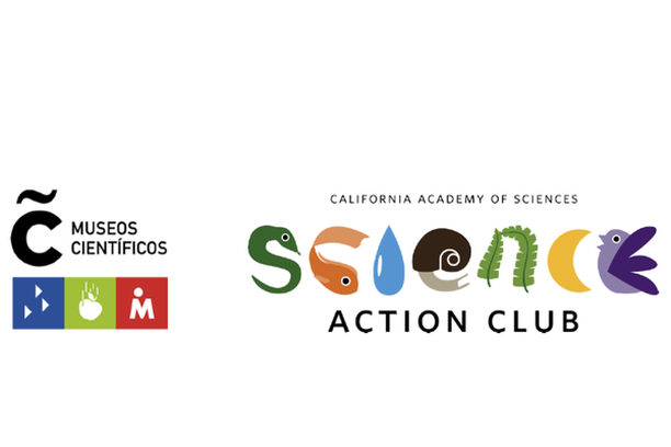 Image for SAC Domus