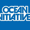 Project icon