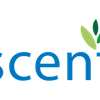 Project icon