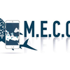 Project icon