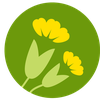 Project icon