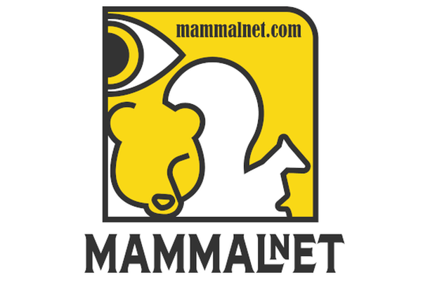 Image for MammalNet: Watch Wildlife for Science