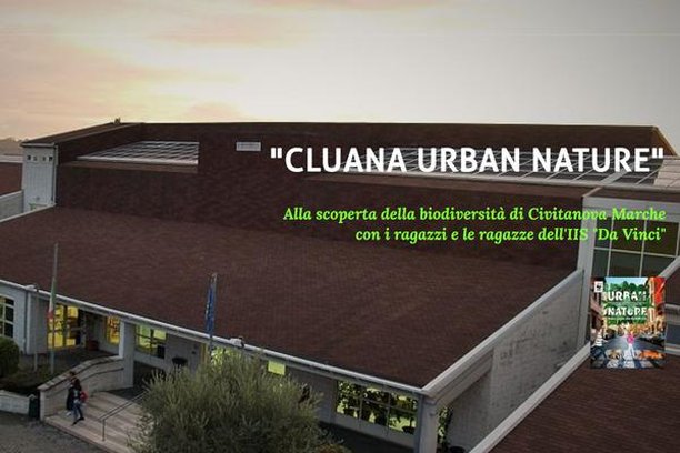 Image for Cluana Urban Nature