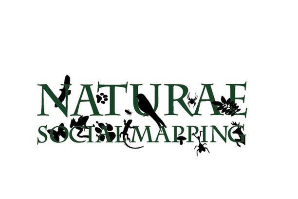 Image for Naturæ Social Mapping