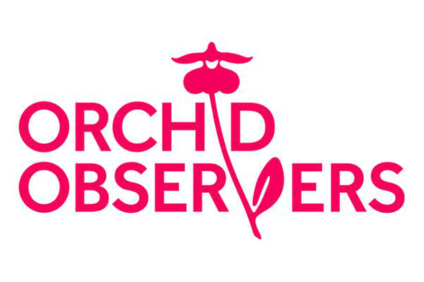 Image for Orchid Observers
