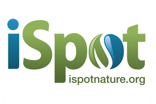 Image for iSpot