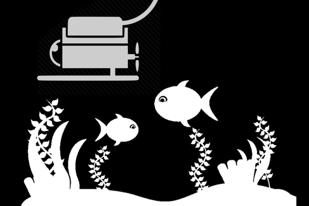 Image for Koster Seafloor Observatory