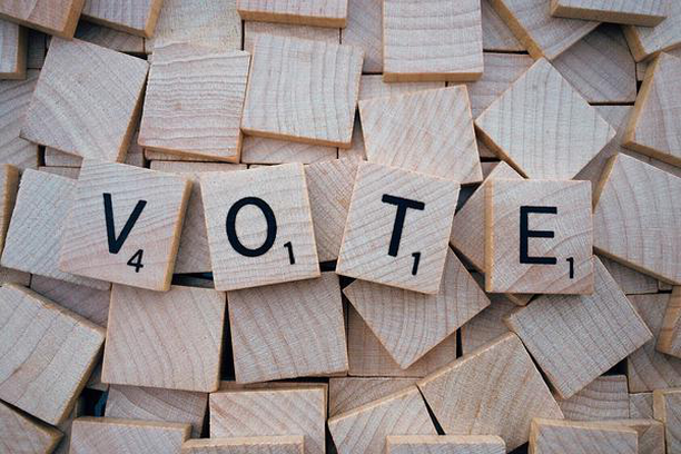 Image for DeVOTE - The meanings of 'voting' for citizens