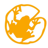 Project icon