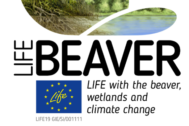 Image for LIFE Beaver project