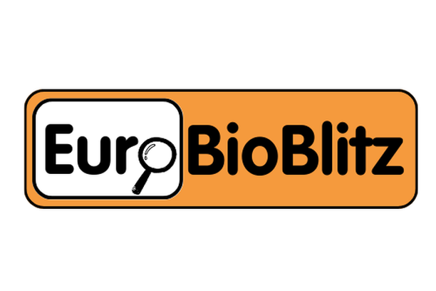 Image for EuroBioBlitz 2023