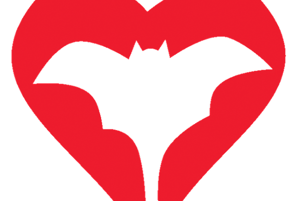 Image for Bat Monitoring Programme