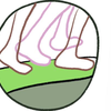 Project icon