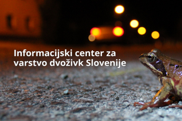 Image for The Coordination Centre for Amphibians (CCA) in Slovenia