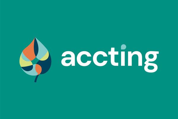 Image for ACCTING