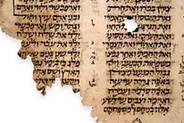 Image for In the Wake of the Cairo Geniza