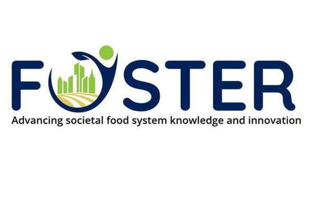 Image for FOSTER