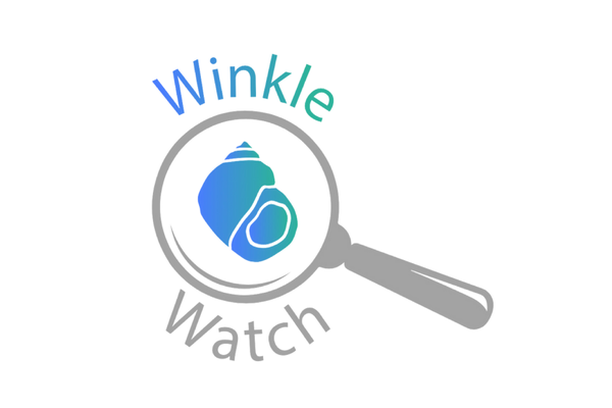 Image for WinkleWatch
