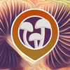Project icon