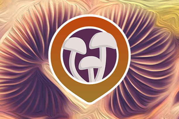 Image for Pilzfinder