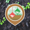 Project icon