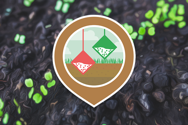 Image for Tea Bag Index
