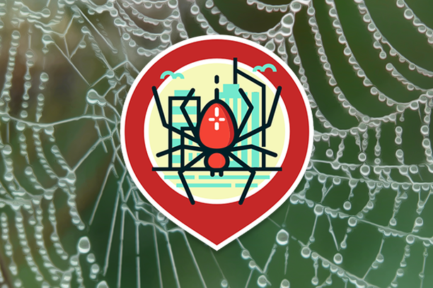 Image for SpiderSpotter